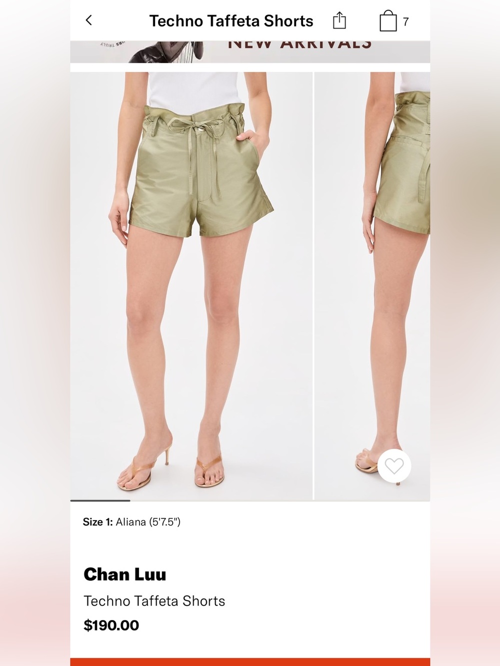 NWT sold out Chan Luu techno taffeta shorts in size size 2(Chan luu size)
